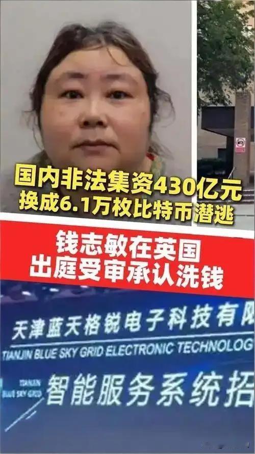 430亿！这可不是个小数目，天津蓝天格锐电子科技有限公司非法吸收公众存款案的主犯