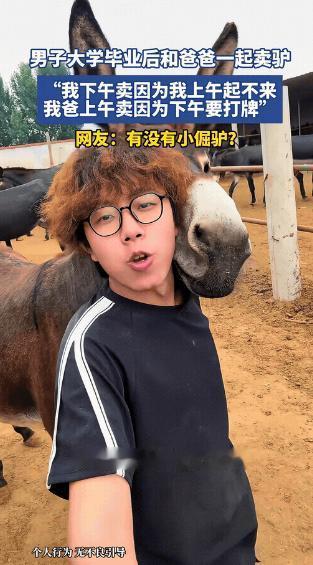 “笑不活了！”河北，男生大学毕业后没去大城市，直接回老家跟爸爸一块卖驴。结果爷俩