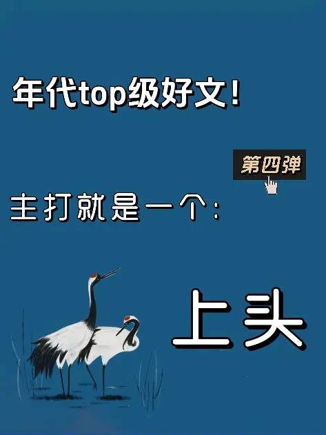 小说 小说推荐 年代
