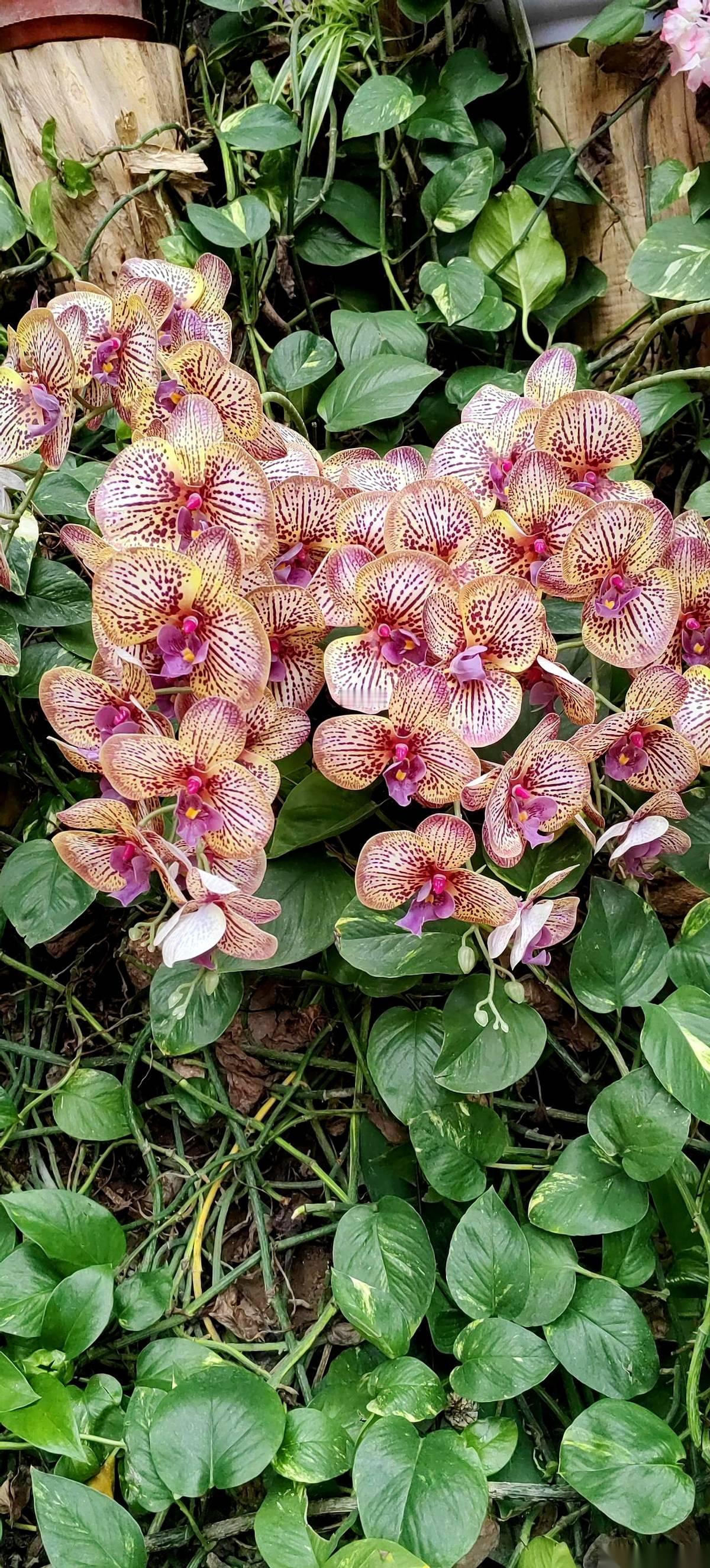 从厨房出来，往我妈房间那么一瞥，魂儿差点吓飞了。我妈，一个人，安安静静地，坐在