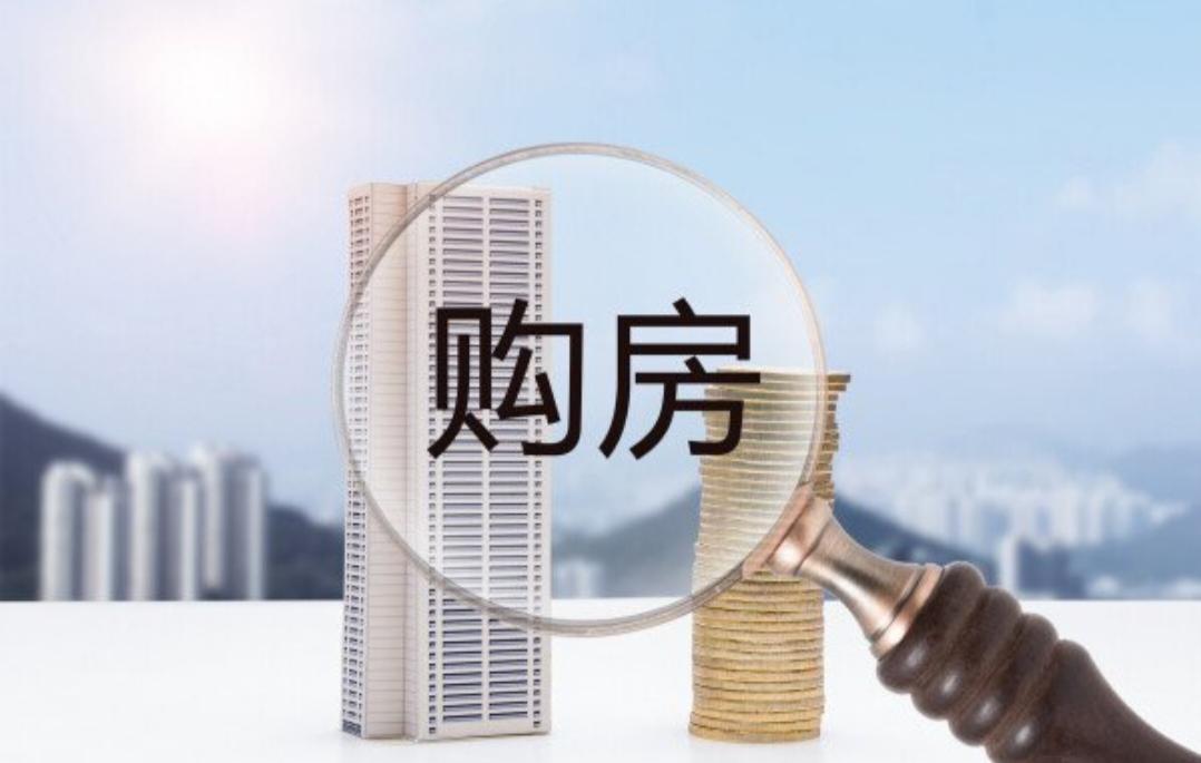 经济学家对年轻人买房意见不一，有人呼吁把握时机，有人警示风险。近期多位经济学家