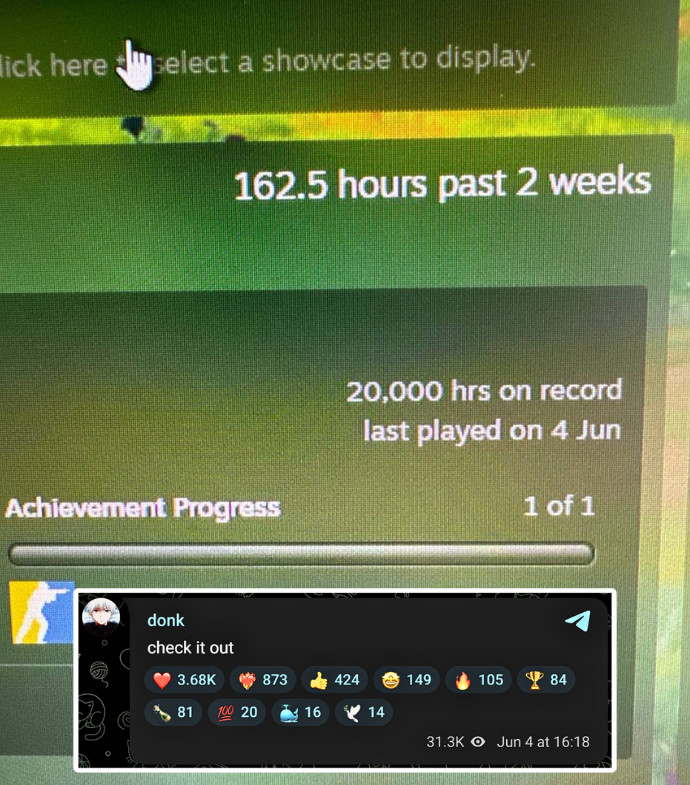 多少小时？donk晒出Steam截图，显示他的CS2+CSGO游戏总时长已经达到
