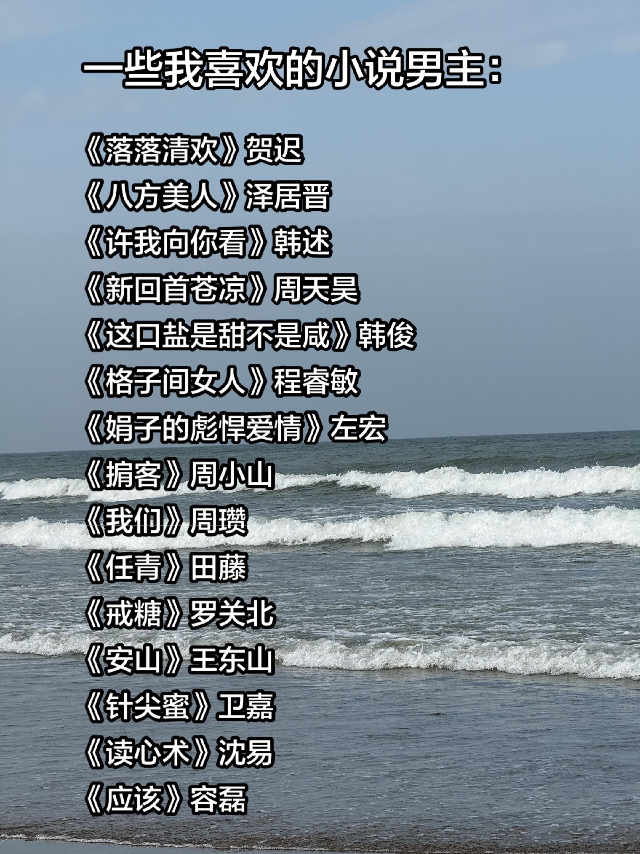 一些我喜欢的小说男主第二期