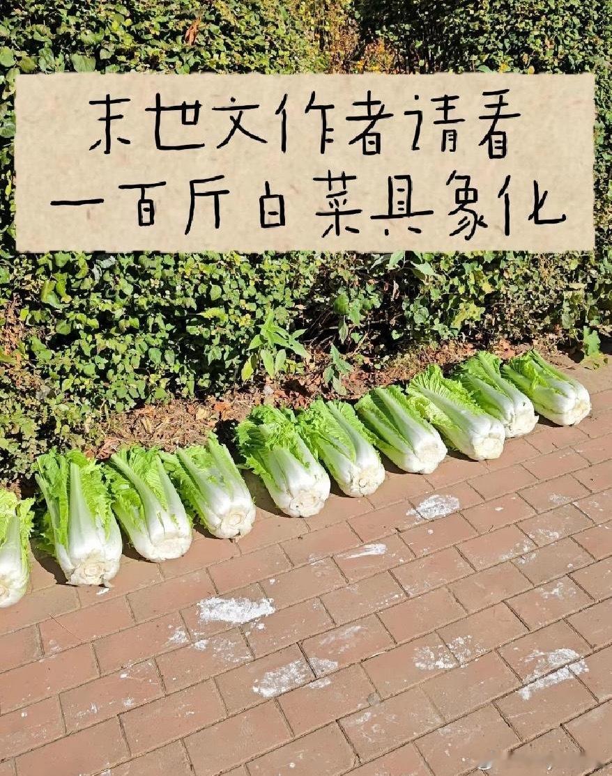 那些末世文的作者真的买过菜吗这就是100斤白菜，抗不了多久​​​
