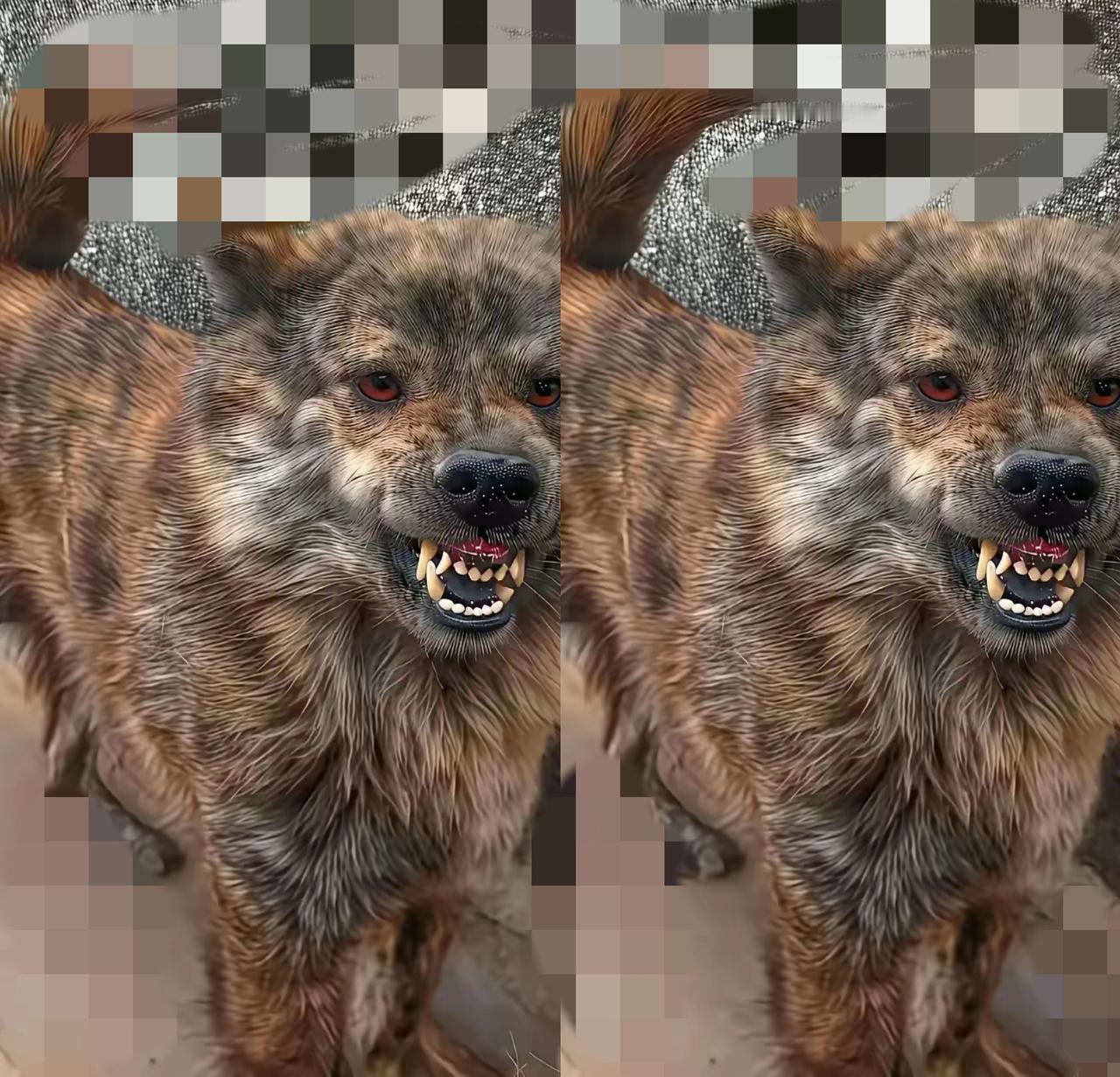 山里捡只“小土狗”养三月，夜里眼睛冒红光、叫声像闷雷，邻居拍视频直接炸了网！