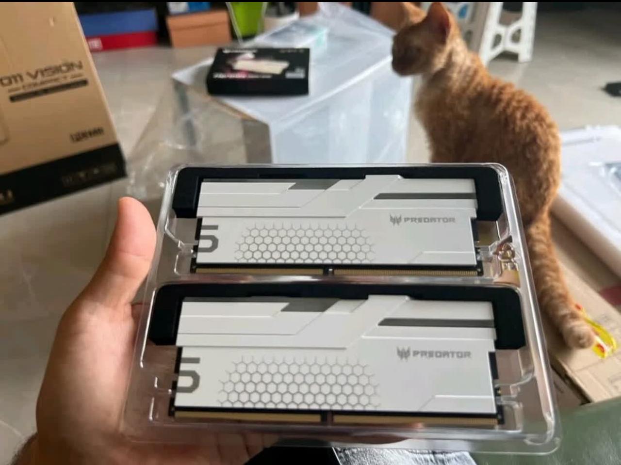 最近内存价格又疯涨了。。前几个月，48GB的DDR5低频内存条，五六百就能拿下，