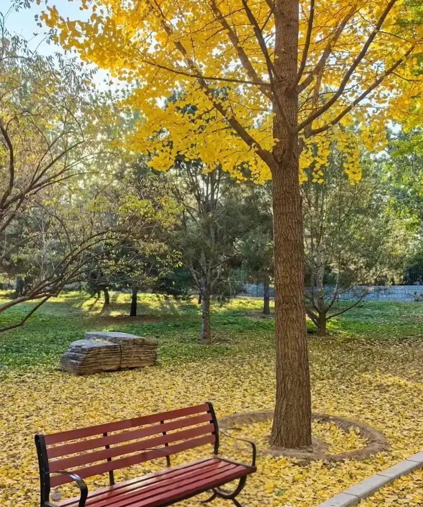 刷到个帖子说现在流行“出钱出力不出声”的婆婆，买菜做饭贴奶粉钱，却一句意见不插。