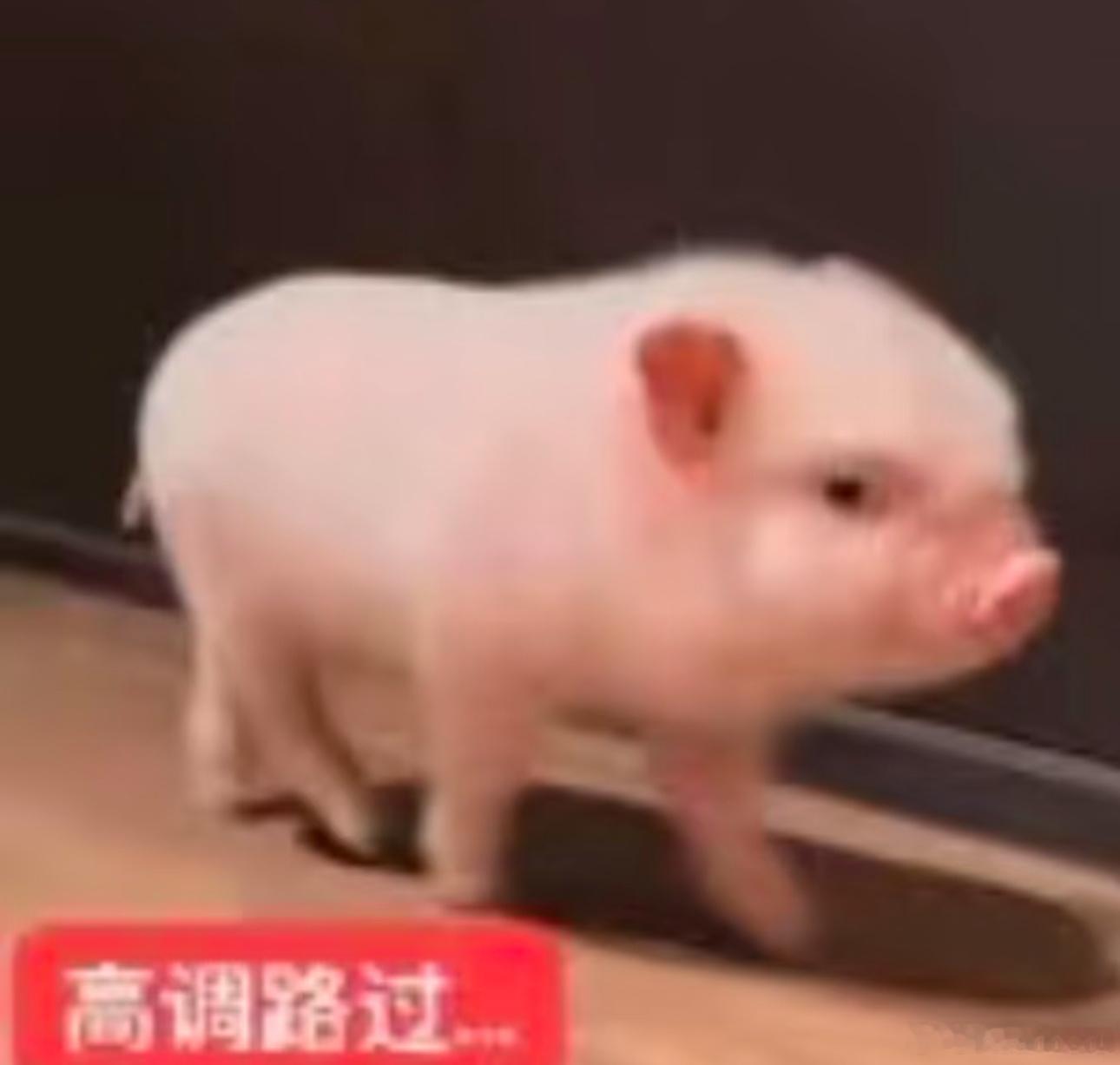 扣1，ydl分你一半扣2，出jc扣3，和我互动