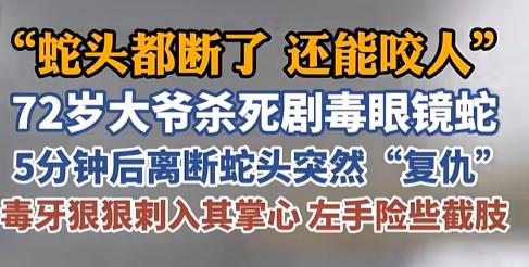 “谁都没想到吧！”7月29日，72岁的陈大爷一锄头拍死条眼镜蛇，以为完事了。哪晓