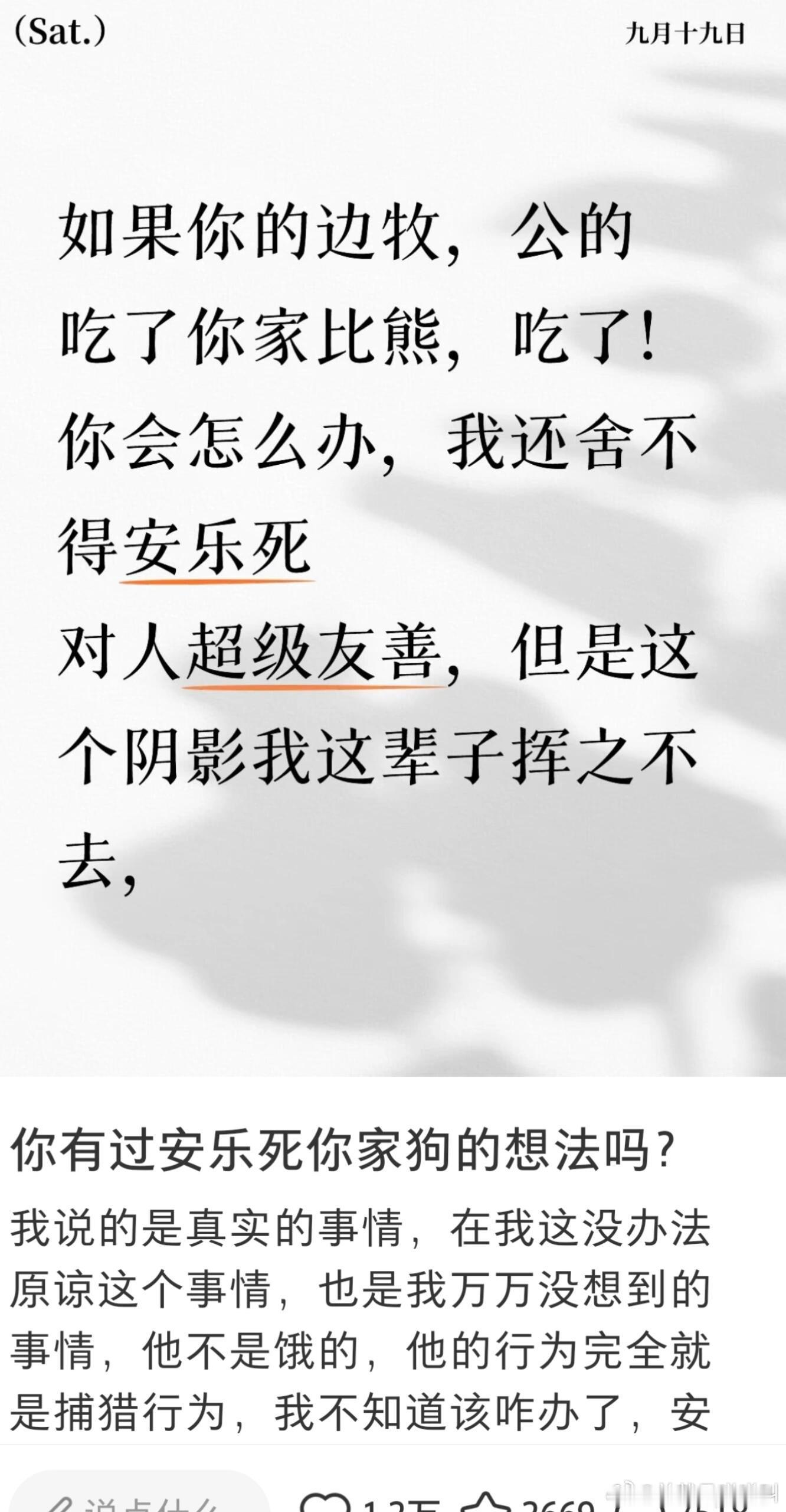 我害怕猫的原因就是这个小时候邻居家的猫生的小猫就被野猫吃了….​​​