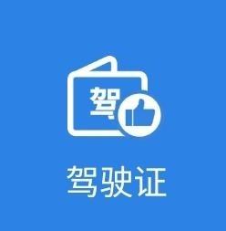 为什么我的电子驾驶证大拇指没有颜色？看到大家都在查询，我也去查了一下，我的有大