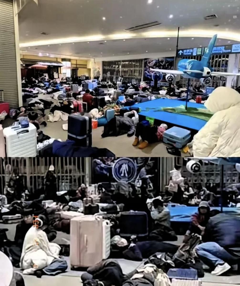 刚刚看到了一则新闻，说是大量的中国游客因大雪被困在日本的北海道，当然，这不是重点