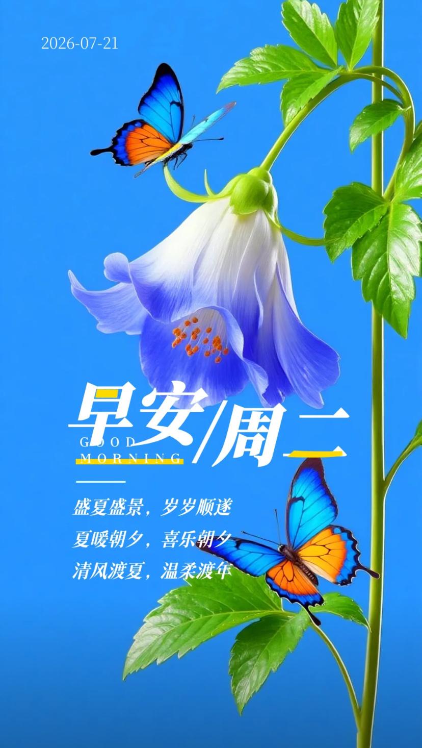 夏晨问安，溽暑晨光温柔蔓延，拂晓清风送来沁人凉意。2026./07.21.[