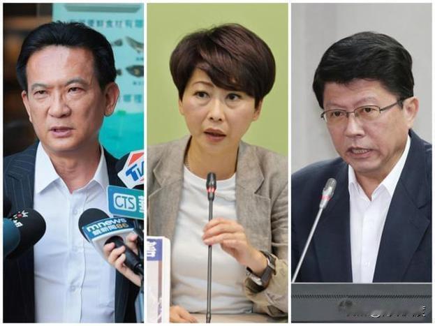 TVBS民调谢龙介一对一对上绿营陈亭妃、林俊宪，一输一赢，谢龙介还有希望翻转台南