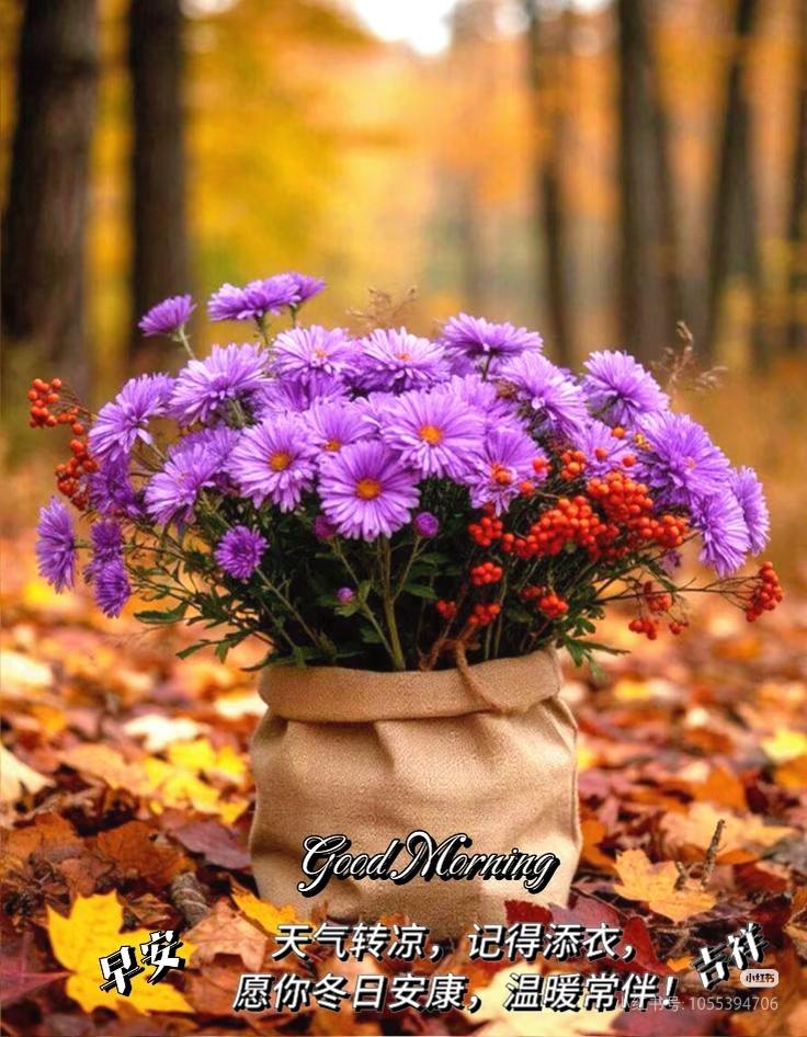 人生之宝，就是健康到老！昨天美好的一天，已是回忆，今天的开始，又是崭新的一天