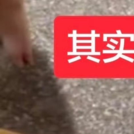 0000种葡萄🍇1、土壤：种植葡萄时，需要选取疏松肥沃、透气良好的沙质土壤。