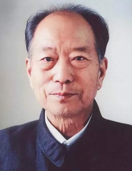 2004年5月，河南郑州到兰考几十公里公路上，出现了震撼一幕：十万百姓自发