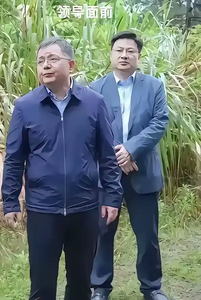 什么时候是领导，什么时候是下属，你看手放哪就知道了！