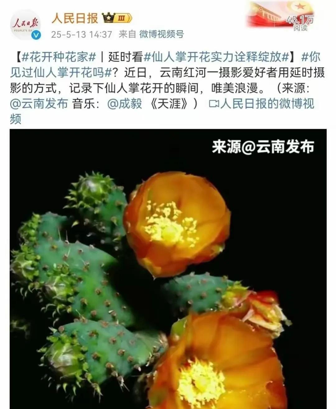 都说《赴山海》播不了，成毅实惨但塞翁失马，焉知非福看到人民日报力挺成毅的这一