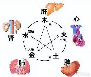 入睡困难可能是肾虚中医认为，身体的很多变化都可能是耳鸣即将发生的预警。在耳鸣出