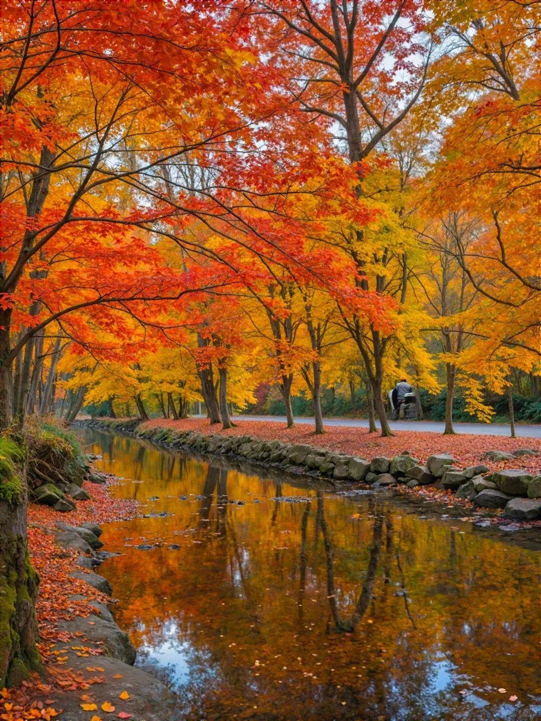 今天遇到一个金陵中学高三的学生家长，跟我聊天，说想让我安排老师给孩子辅导一下，问
