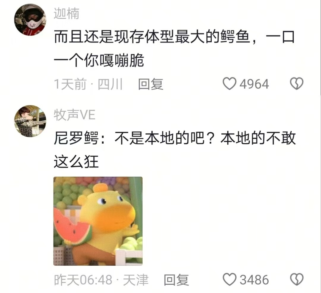 鳄鱼直接幸福者退让了🤣👌