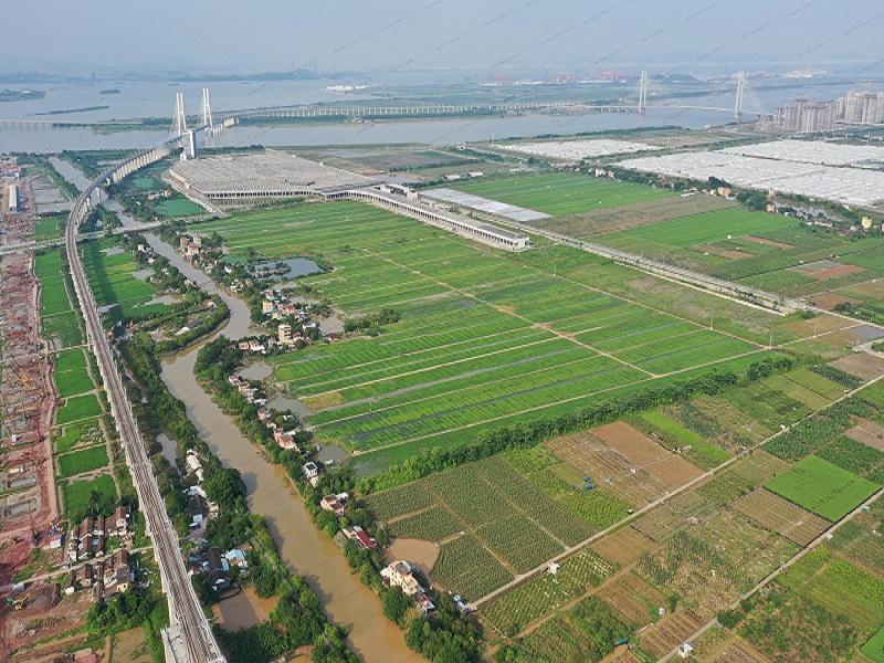 【非法占用耕地事情很大条哦！】耕地红线不容侵犯，否则事情很大条！广州市南沙区综合