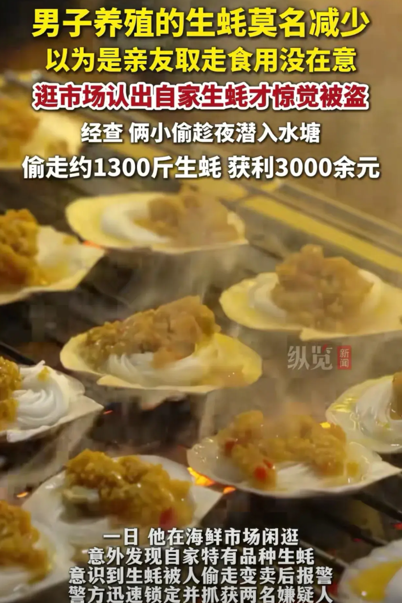 “心不是一般的大！”广东深圳，男子自家养的生蚝丢了不少，他以为是朋友私下拿走了，