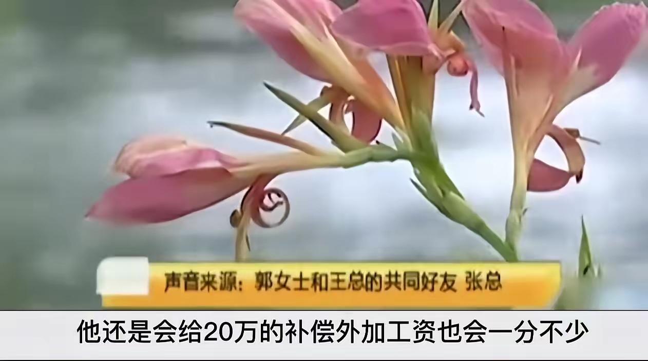 女秘书挺着孕肚闹上门，老板娘一句话让她颜面扫地：有些捷径，走了就是万丈深渊