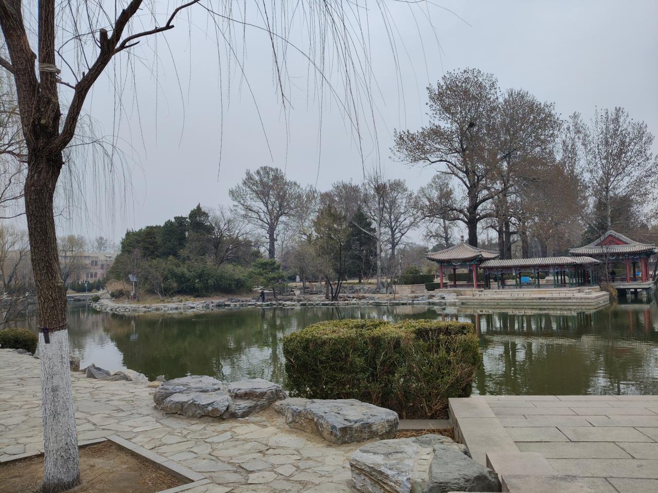 班主任好难当，跟吞了苍蝇恶心。尤其是遇到难缠的家长。当学生之间打架之后，这种家长