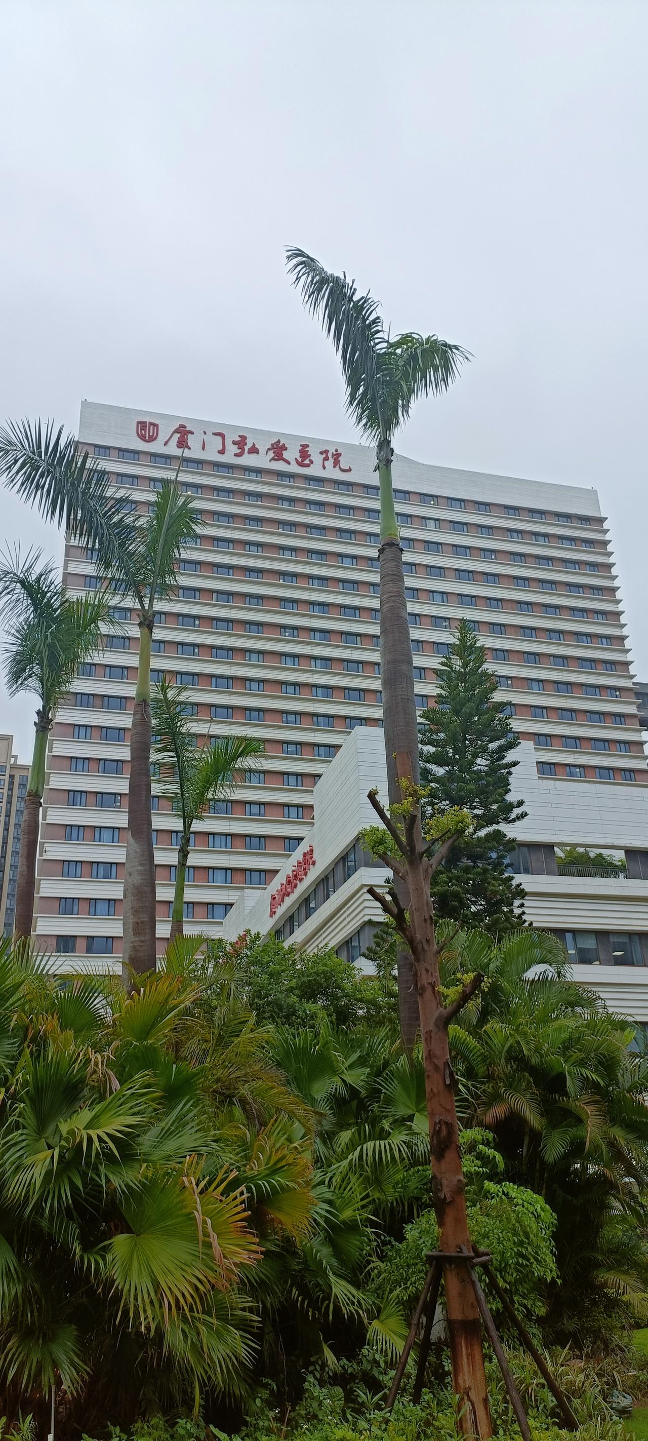 厦门弘爱医院，绿意盎然，静待您的到来！🌴🏥上联:红门红爱院，下联:绿树掩