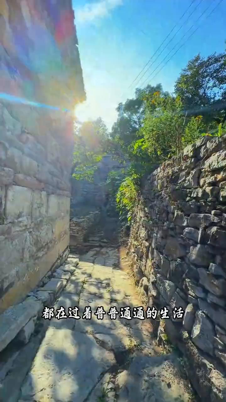 你焦虑什么？能活着就不错了，千万别被网络带偏生活。要记住，99%的人都不会有太大