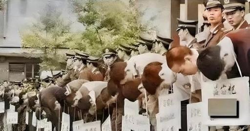 1983年，唐山菜刀队被枪决时的场景令人震惊。这些年轻人因犯罪而被判处死刑，他们