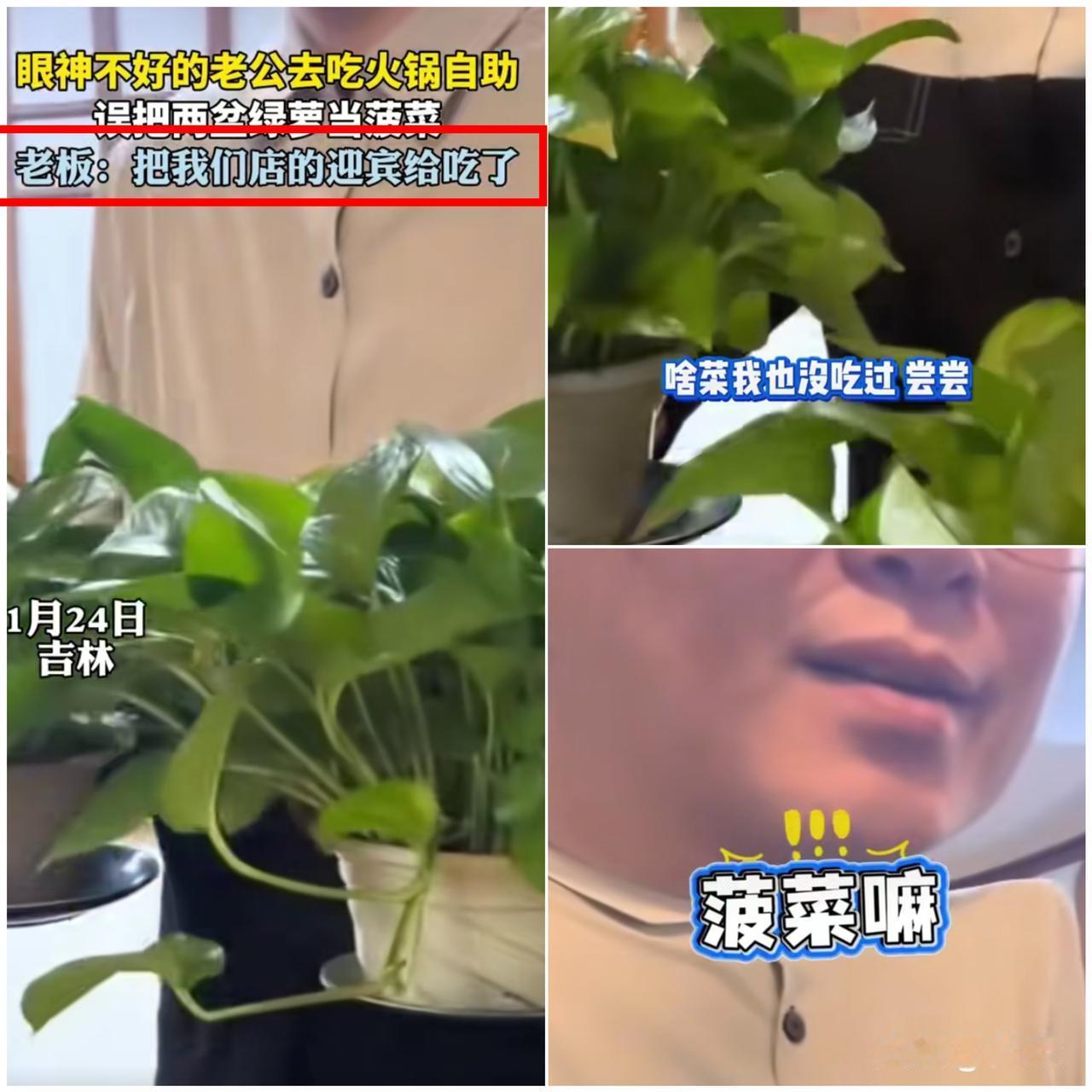 笑不活了！吉林大哥吃火锅自助把绿萝当菠菜端上桌，这操作直接笑翻全网！戴着