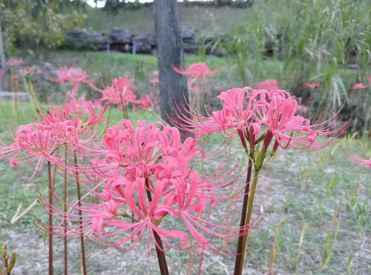 如果你家孩子，高中还能跟你好好说话，事事尊重你，就算成绩不好，也应该高高兴兴的，