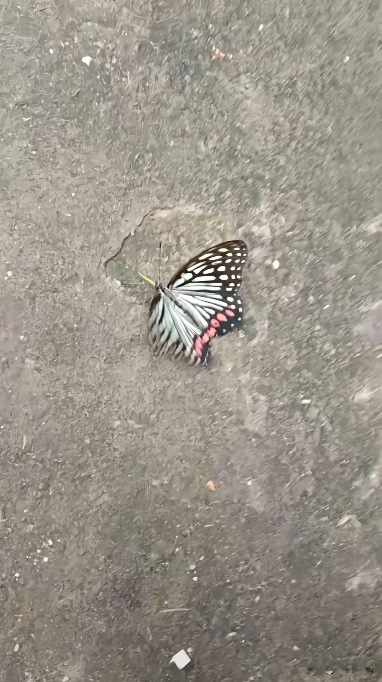 小忍，是你么，你真是个好孩子[哭哭]