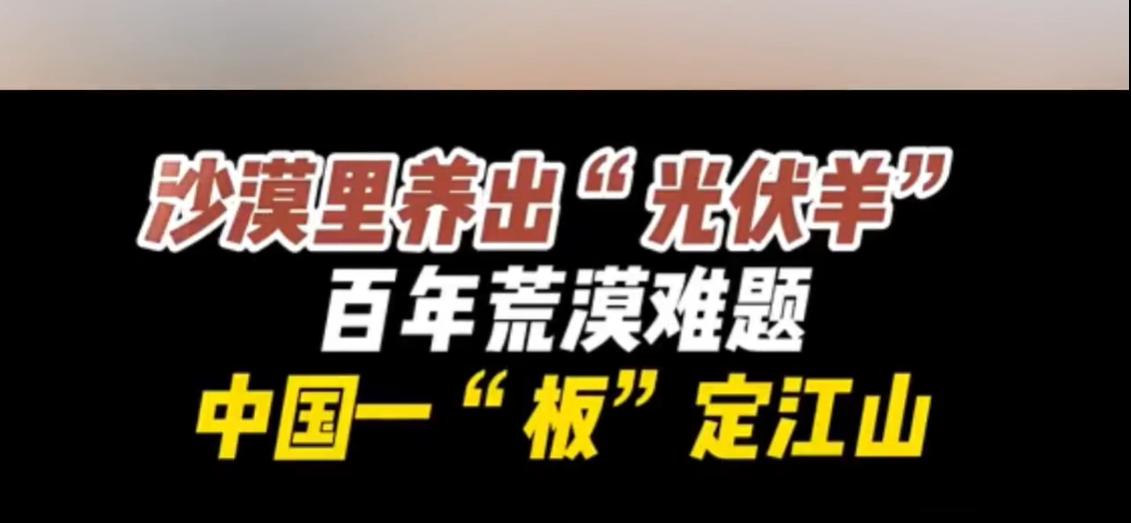 谁能想到，中国斥资3亿元，在荒漠里铺下数百万块光伏板，最后解决除草难题的，竟然不