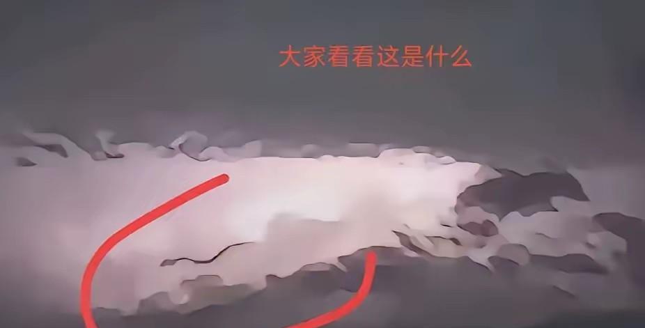 西安出现龙的一事，这几天火爆全网，甚至还有人把古代典籍里出现龙的记载又悉数说了一