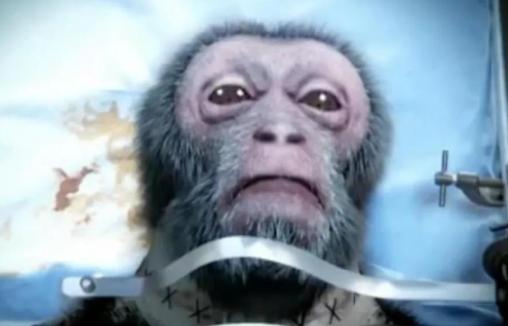 2016年1月21日，中国科学家们进行首例“猴子换头”手术，耗时长达18小时，耗