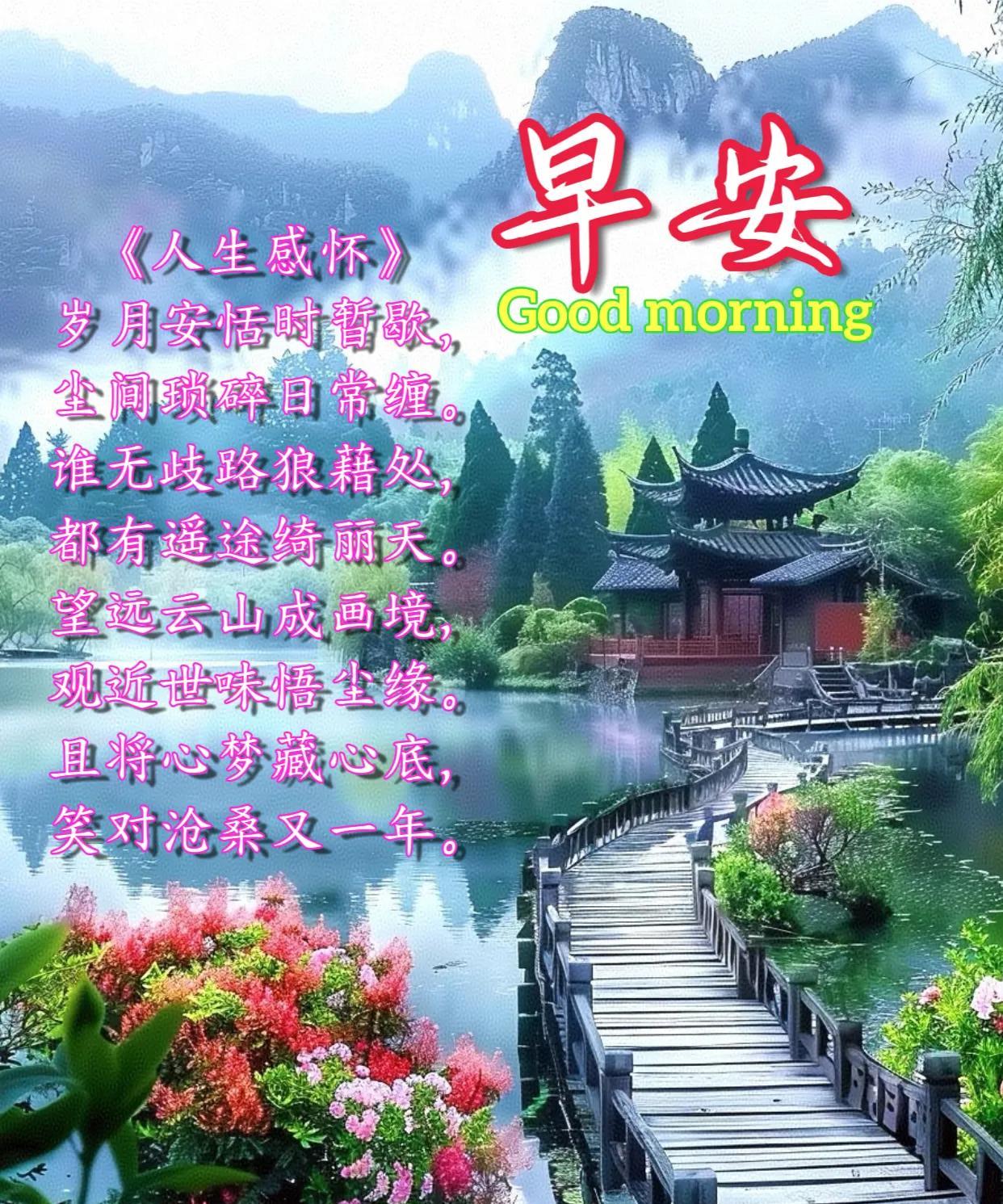 朋友：早安！《人生感怀》岁月安恬时暂歇，尘间琐碎日常缠。谁无歧路狼藉处，都