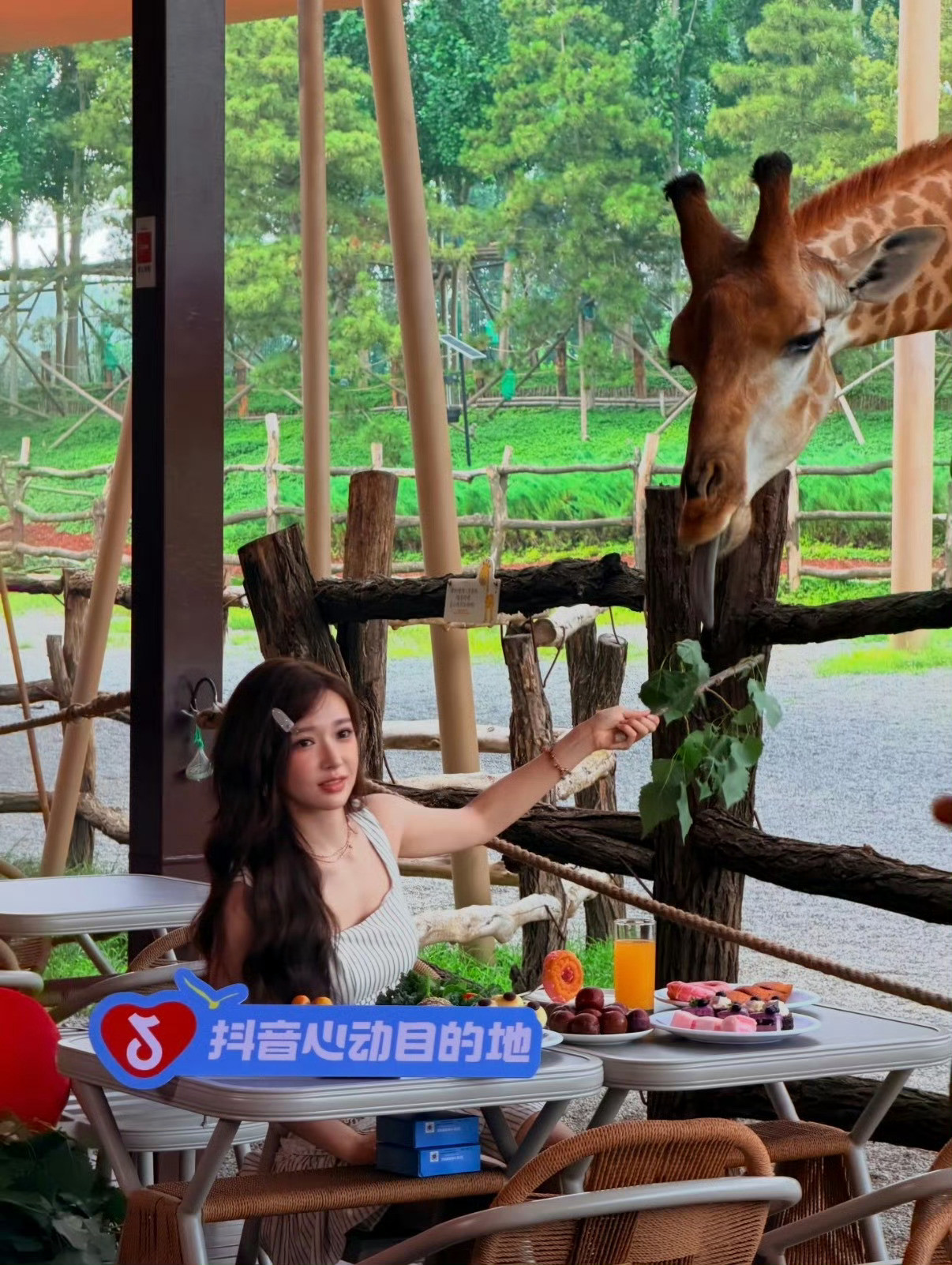这张图我笑半天 ​​​