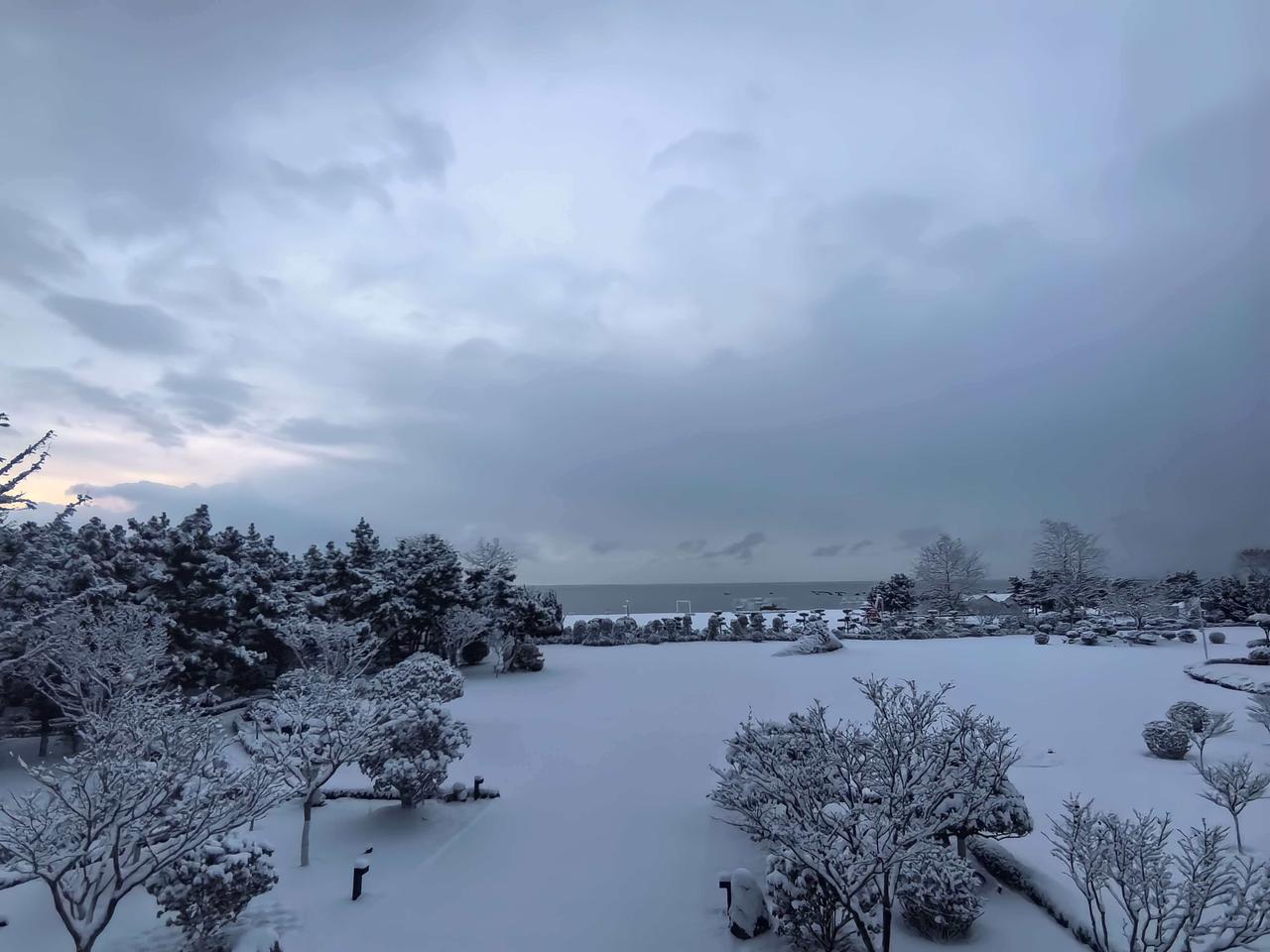 昨晚烟威两地的一场大雪，把其它地方的人们都馋哭了！这才是冬天正确的打开方式！