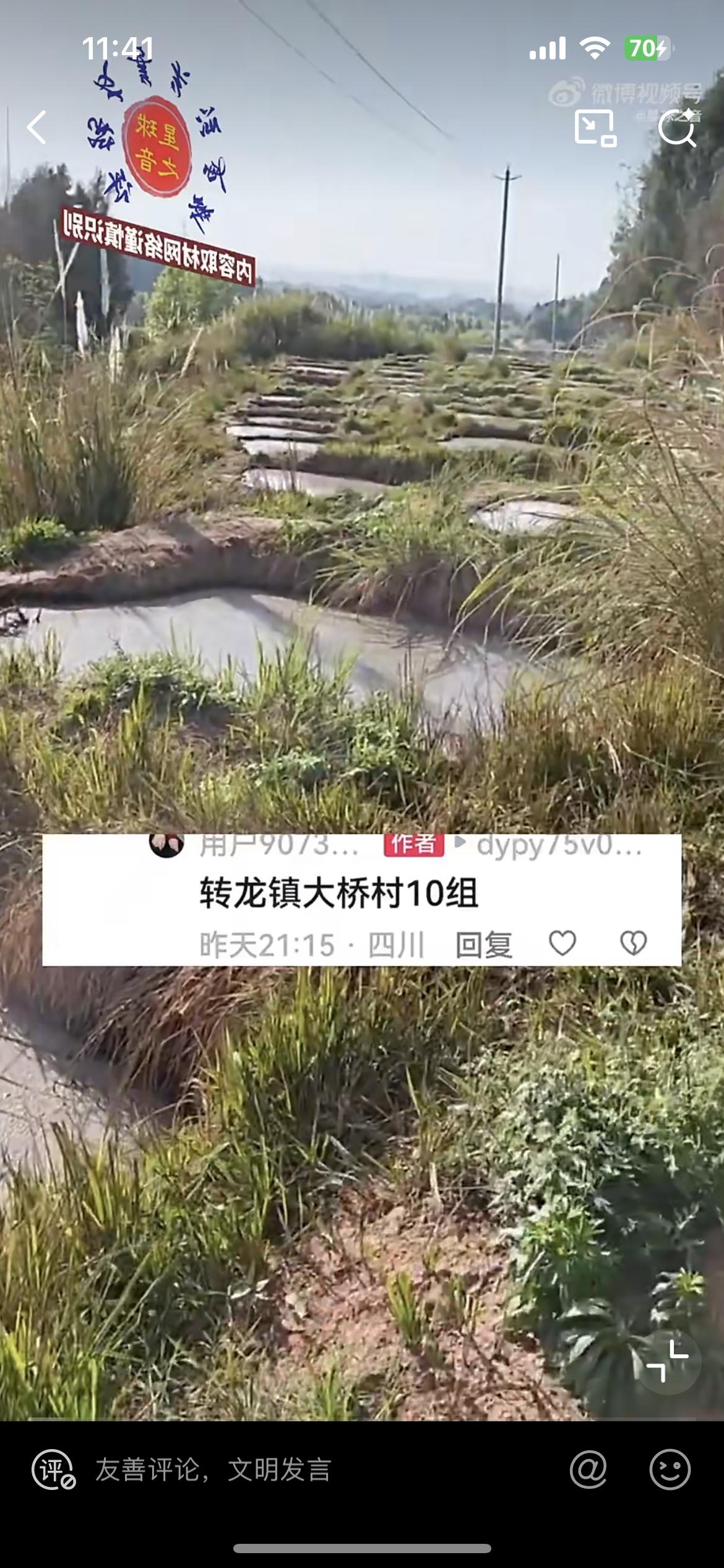 一网友爆料，村子附近的养猪场猪粪直排，臭气熏天，把周围的树木都给熏死了。看情形应