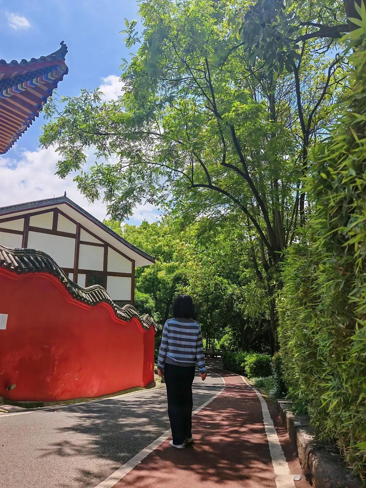 退休十年，走了大半个中国。到头来回看，哪座山最高、哪片海最蓝，都快记不清了。倒是