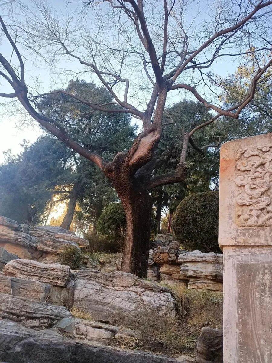 崇祯如果南渡，能不能翻盘崛起？结论先说：大概率能守住半壁江山，有机会北伐复国，但