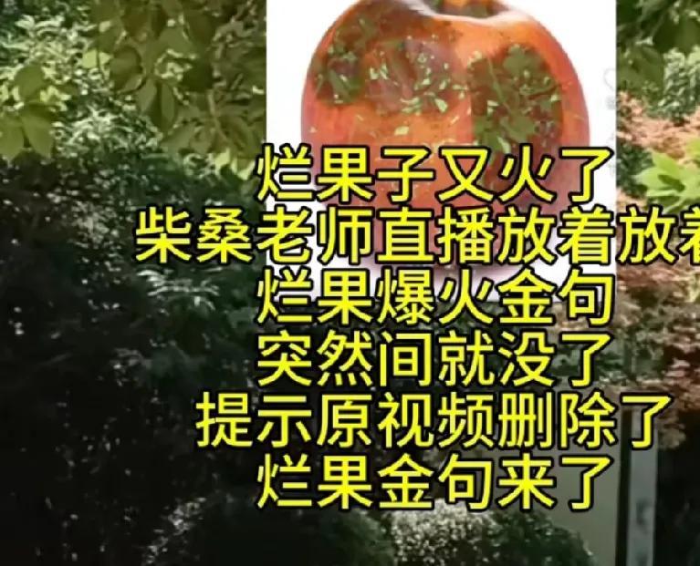 烂果子太狂妄了！直播叫嚣：不管在哪儿都偷！柴桑大姐怒火中烧，九江方面的迟