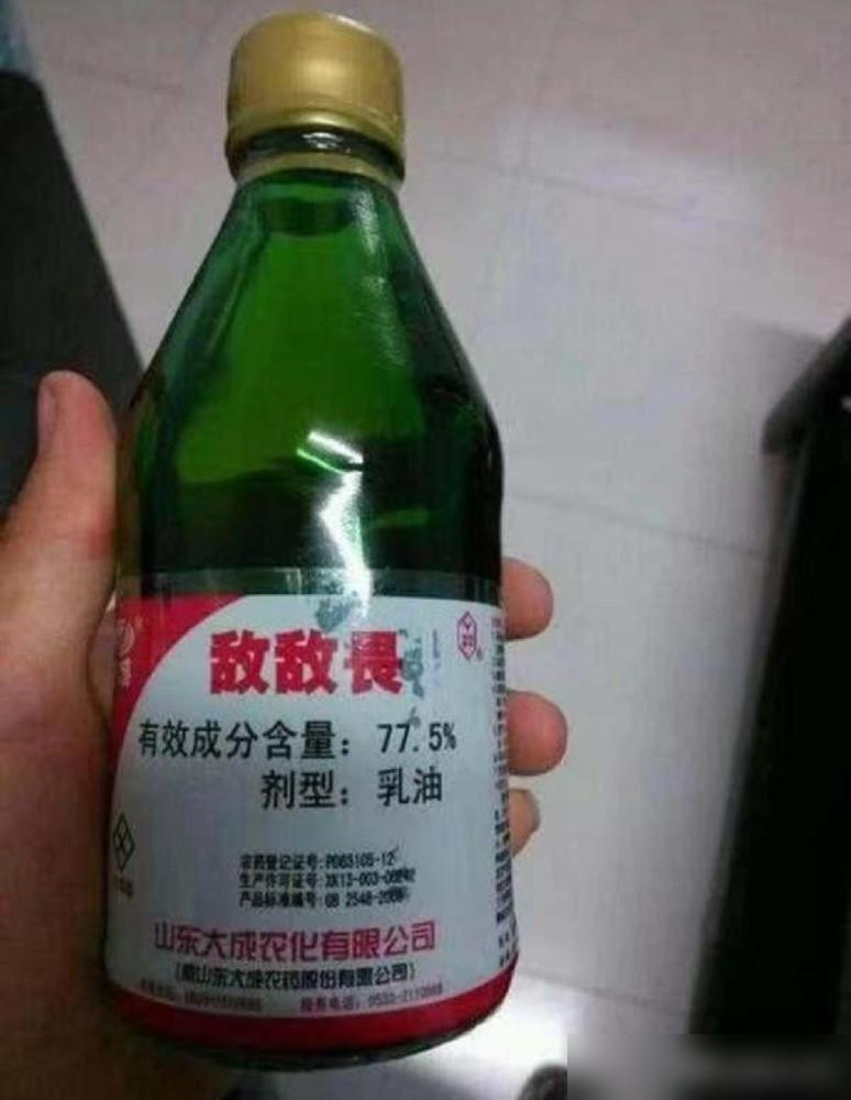 我村里有个老太太天天去儿子家闹着说不想活了，想死，她儿子实在忍不住了，偷偷把农药