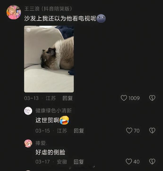 论猫咪的偷窥欲有多强