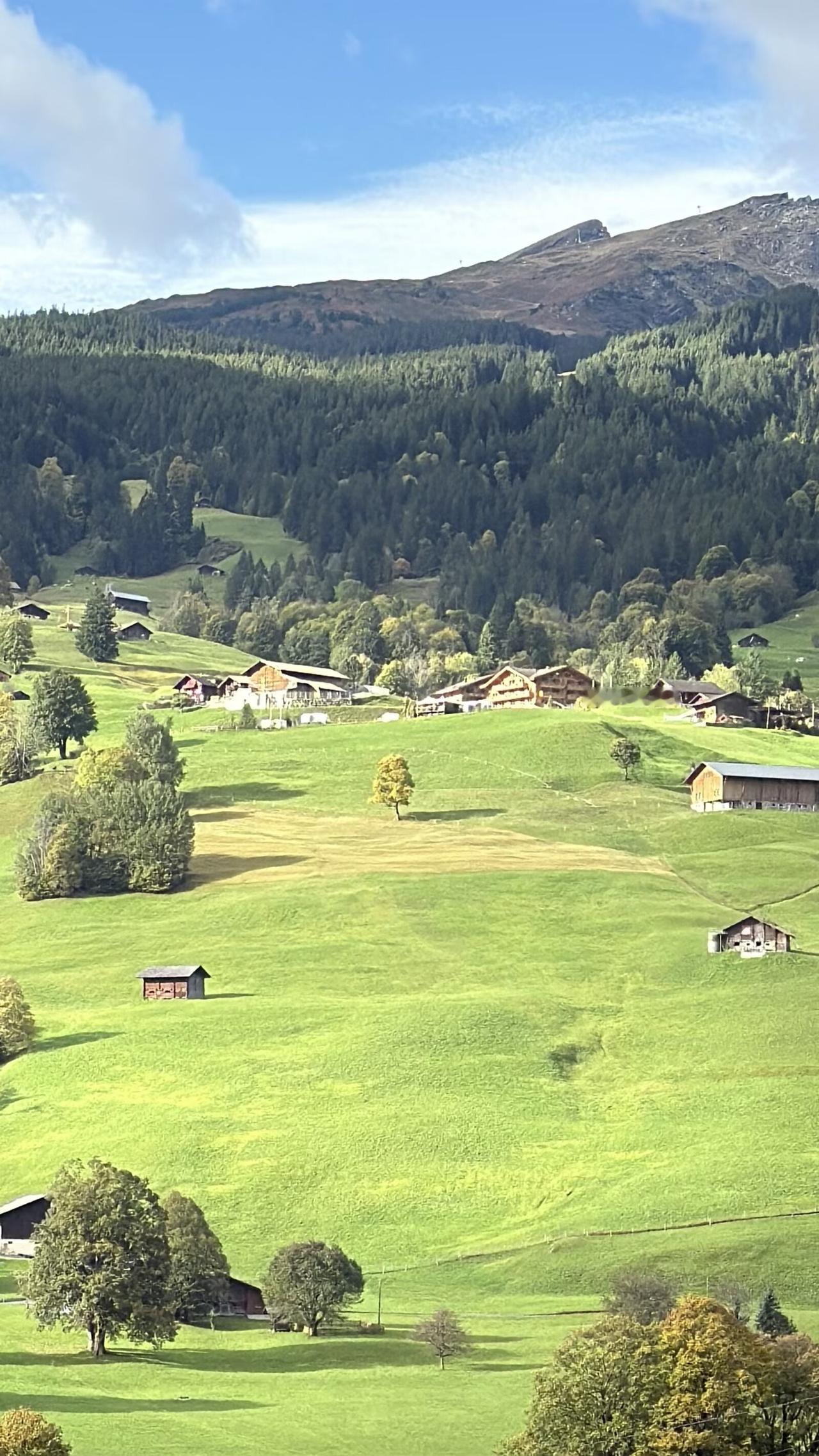 你见过每天都要喝白酒的人吗?不用见我就是每天都喝点白酒而且是高度白酒已