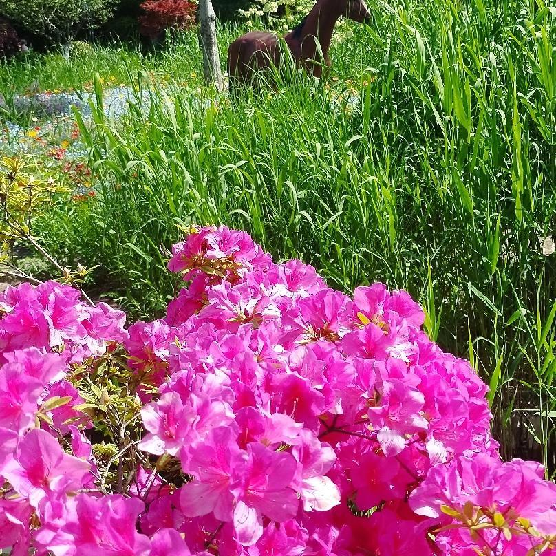 把前面失去的肌肉补回来——中晚期卵巢癌康复8年/分享无论你的身体在什么状态